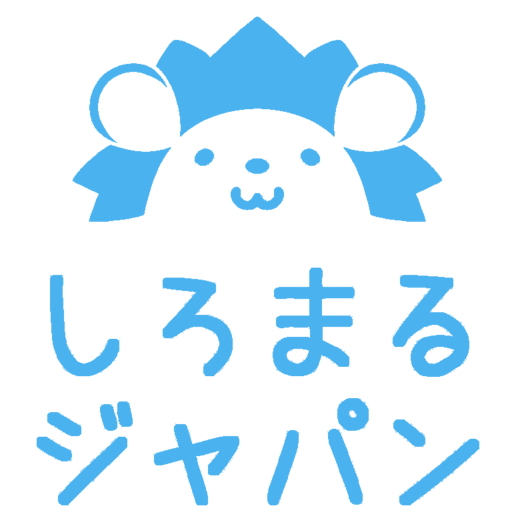 ドラム式洗濯機 分解洗浄 しろまるジャパン 越谷市